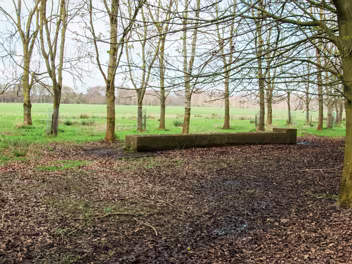 Military Road Located within Dublin's sprawling Phoenix Park, Military Road holds both historical significance and natural beauty....