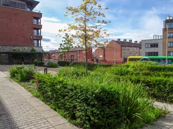 ST LUKE'S AVENUE