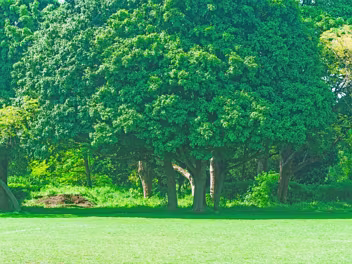 WHAT IS A PUBLIC PARK