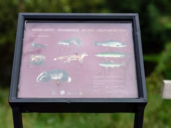 LIFFEY LINEAR PARK The section of the Liffey Linear Park at Newbridge offers a delightful escape into nature, right on the doorstep of the...