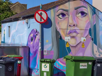 BY JULIETTE VIODE Juliette Viodé is a well-known muralist and illustrator based in Dublin, Ireland. Her vibrant and character-focused...
