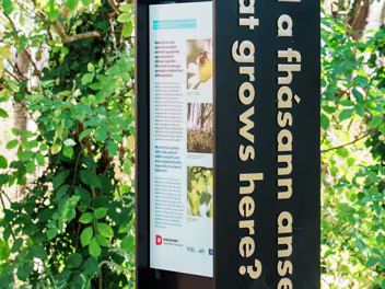 SECTION ONE The Dublin Port Greenway, specifically the Tolka Estuary Greenway section, has recently opened to the public and is...