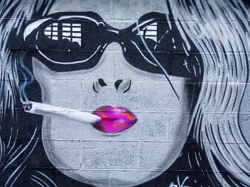 STREET ART IN 2013 All Photographs Supplied By William Murphy