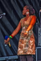 AFRICA DAY AT DUBLIN CASTLE 2008 [THIS WAS ONE OF MY FAVOURITE EVENTS EVER]-238060-1