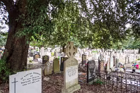 AREAS OF THE CEMETERY THAT I DO NOT NORMALLY VISIT [GLASNENIN 18 MARCH 2008]-236348-1