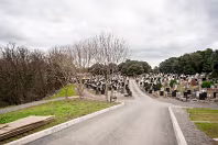 AREAS OF THE CEMETERY THAT I DO NOT NORMALLY VISIT [GLASNENIN 18 MARCH 2008]-236356-1