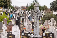 AREAS OF THE CEMETERY THAT I DO NOT NORMALLY VISIT [GLASNENIN 18 MARCH 2008]-236362-1