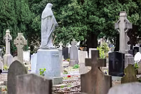 AREAS OF THE CEMETERY THAT I DO NOT NORMALLY VISIT [GLASNENIN 18 MARCH 2008]-236364-1