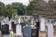 AREAS OF THE CEMETERY THAT I DO NOT NORMALLY VISIT [GLASNENIN 18 MARCH 2008]-236369-1