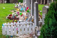AREAS OF THE CEMETERY THAT I DO NOT NORMALLY VISIT [GLASNENIN 18 MARCH 2008]-236376-1