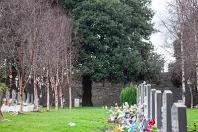 AREAS OF THE CEMETERY THAT I DO NOT NORMALLY VISIT [GLASNENIN 18 MARCH 2008]-236377-1