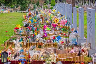 AREAS OF THE CEMETERY THAT I DO NOT NORMALLY VISIT [GLASNENIN 18 MARCH 2008]-236381-1