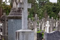 THE OLDER SECTION OF GLASNEVIN CEMETERY [FEATURES MANY CELTIC AND HIGH CROSSES]-236391-1