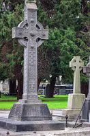 THE OLDER SECTION OF GLASNEVIN CEMETERY [FEATURES MANY CELTIC AND HIGH CROSSES]-236395-1