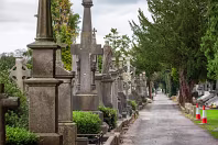 THE OLDER SECTION OF GLASNEVIN CEMETERY [FEATURES MANY CELTIC AND HIGH CROSSES]-236397-1