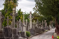THE OLDER SECTION OF GLASNEVIN CEMETERY [FEATURES MANY CELTIC AND HIGH CROSSES]-236398-1
