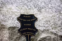 THE OLDER SECTION OF GLASNEVIN CEMETERY [FEATURES MANY CELTIC AND HIGH CROSSES]-236401-1