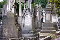 THE OLDER SECTION OF GLASNEVIN CEMETERY [FEATURES MANY CELTIC AND HIGH CROSSES]-236402-1