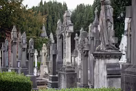 THE OLDER SECTION OF GLASNEVIN CEMETERY [FEATURES MANY CELTIC AND HIGH CROSSES]-236404-1