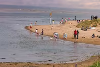 MAY 2008 VISIT TO MALAHIDE [I WALKED FROM MALAHIDE TO PORTMARNOCK AND BACK AGAIN]-236253-1