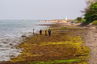 MAY 2008 VISIT TO MALAHIDE [IT WAS MY MOTHER'S BIRTHDAY AND SHE WAS 88] X-236196-1