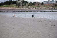 SANDYMOUNT STRAND AS IT WAS IN 2008 [AVOID THE END NEAREST MERRION STRAND EVEN NOW IN 2024]-235970-1