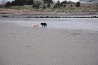 SANDYMOUNT STRAND AS IT WAS IN 2008 [AVOID THE END NEAREST MERRION STRAND EVEN NOW IN 2024]-235971-1