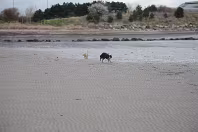 SANDYMOUNT STRAND AS IT WAS IN 2008 [AVOID THE END NEAREST MERRION STRAND EVEN NOW IN 2024]-235972-1