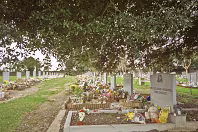 SHADOWS AND SANCTUARY AND THE EVOLUTION OF GLASNEVIN'S ANGELS PLOT [PHOTOGRAPHED 18 MARCH 2009]-269527