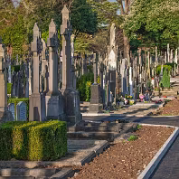 WHY I CHOOSE LANDSCAPE OVER PORTRAIT ALMOST ALL OFF THE TIME [THE GLASNEVIN CEMETERY SQUARE CROP EXPERIMENT]-269472