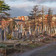 WHY I CHOOSE LANDSCAPE OVER PORTRAIT ALMOST ALL OFF THE TIME [THE GLASNEVIN CEMETERY SQUARE CROP EXPERIMENT]-269498