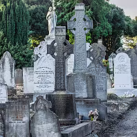 WHY I CHOOSE LANDSCAPE OVER PORTRAIT ALMOST ALL OFF THE TIME [THE GLASNEVIN CEMETERY SQUARE CROP EXPERIMENT]-269501