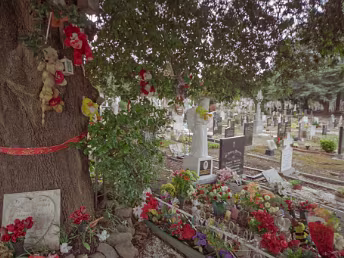 THE ANGELS PLOT AS IT WAS IN 2009 A photographic retrospective of the Angels Plot at Dublin’s Glasnevin Cemetery explores its emotional 2010...