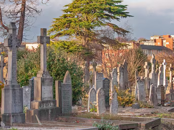 SQUARE CROP EXPERIMENT The architecture of Glasnevin naturally invites vertical lines, yet forcing the frame can compromise the environmental...