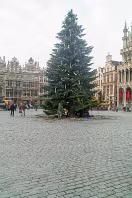 MY CHRISTMAS 2009 IN BRUSSELS [NEW YEARS DAY WAS MY 60th BIRTHDAY]-269430