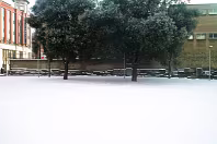 I RETURNED TO DUBLIN FROM BRUSSELS AND THE WEATHER WAS MUCH THE SAME - MAYBE WORSE [SNOW IS UNUSUAL IN DUBLIN]-269357