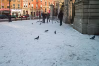 I RETURNED TO DUBLIN FROM BRUSSELS AND THE WEATHER WAS MUCH THE SAME - MAYBE WORSE [SNOW IS UNUSUAL IN DUBLIN]-269381