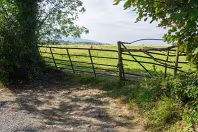 MY FIRST TIME TO PHOTOGRAPH LAUGHANSTOWN LANE [SEPTEMBER 2011]-236129-1 SONY DSC