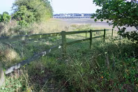 MY FIRST TIME TO PHOTOGRAPH LAUGHANSTOWN LANE [SEPTEMBER 2011]-236140-1 SONY DSC