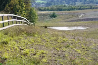 MY FIRST TIME TO PHOTOGRAPH LAUGHANSTOWN LANE [SEPTEMBER 2011]-236143-1 SONY DSC