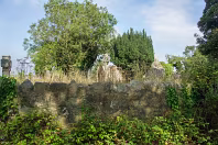 MY FIRST TIME TO PHOTOGRAPH LAUGHANSTOWN LANE [SEPTEMBER 2011]-236148-1 SONY DSC
