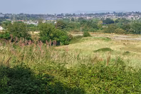 MY FIRST TIME TO PHOTOGRAPH LAUGHANSTOWN LANE [SEPTEMBER 2011]-236152-1 SONY DSC