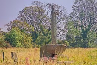 THE MORE WEATHERED CROSS AT TULLY [IN A FIELD ACROSS THE ROAD FROM THE CHURCH]-236058-1 SONY DSC