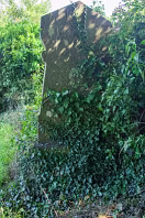 TULLY BURIAL GROUND AND CHURCH RUIN [2011 MIGHT HAVE BEEN MY FIRST VISIT]-236030-1 SONY DSC