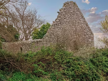 TULLY CHURCH Tully Church is part of a pre-Norman ecclesiastical settlement, occupying the high point of the Cherrywood Planning...
