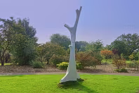 IDEALISED MEMORIES OF VERTICAL GROWTH BY KEN DREW [PHOTOGRAPHED 2014]-235057-1