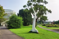 IDEALISED MEMORIES OF VERTICAL GROWTH BY KEN DREW [PHOTOGRAPHED 2014]-235058-1