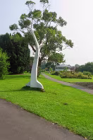IDEALISED MEMORIES OF VERTICAL GROWTH BY KEN DREW [PHOTOGRAPHED 2014]-235059-1