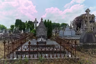 MOUNT ST LAWRENCE CEMETERY IN LIMERICK [2016 LEGACY PHOTO COLLECTION]-244540-1