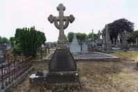 MOUNT ST LAWRENCE CEMETERY IN LIMERICK [2016 LEGACY PHOTO COLLECTION]-244541-1